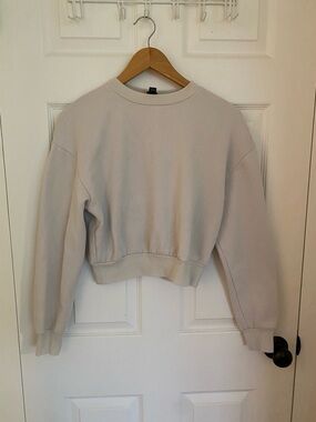 Cropped Crewneck Sweatshirt in Light Gray